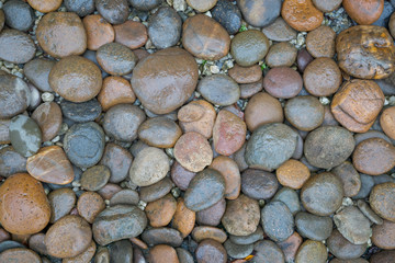 Wet rock river texture