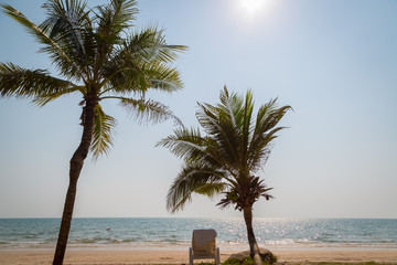 Beach chair at sunny coast with coconut tree at the beach