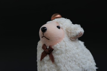 Cute lamb wearing a hat isolated on black.