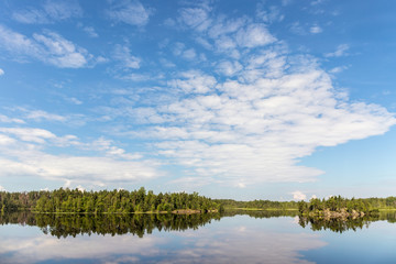 summer landscape on a forest lake