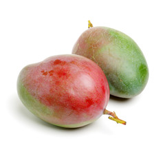 mangos on a white background 
