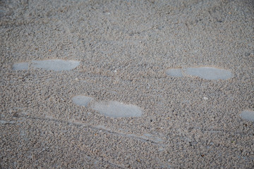 Footprint on sand beach