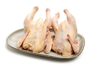 Raw fresh chicken isolated on white background 