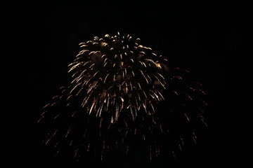 Abstract colored firework background,Fireworks light up the sky