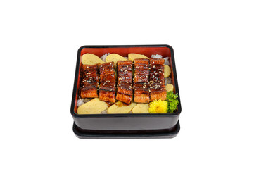Unagi don or Japanese ell grilled with kabayaki sauce and tamago in bento