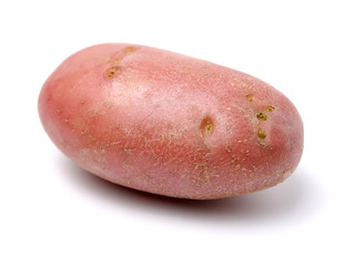 New red potato isolated on white background