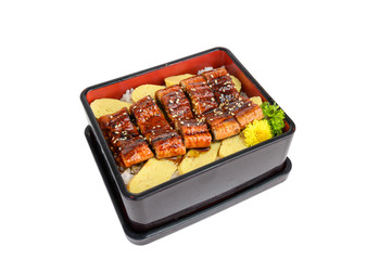 Unagi don or Japanese ell grilled with kabayaki sauce and tamago in bento