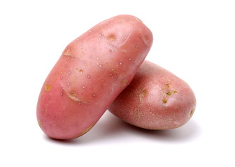 Fototapeta New red potato isolated on white background obraz