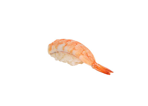 Ebi or Shrimp sushi nigiri japanese cuisine