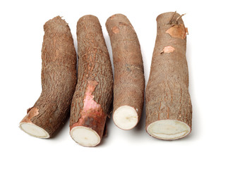 Cassava isolated on a white background