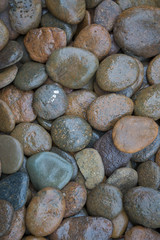 Wet rock river texture