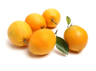 Orange fruit on the white background