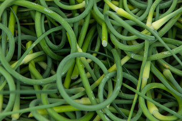 Organic produce at a farmer's market. A closeup view of fresh green runner beans (Phaseolus coccineus) filling the frame, for sale on a market stall during a fair for locally sourced bio produce.