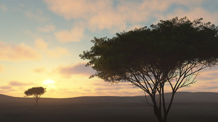 Naklejka na ściany i meble lone tree at sunset