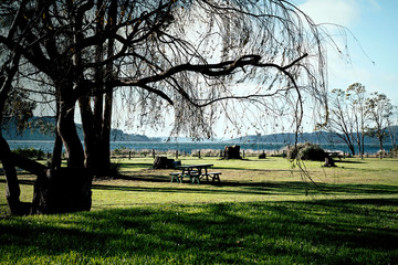 bench in the park