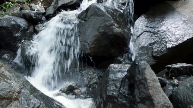 Stream of river in the forest at Jatashankar in Junagadh, Gujarat, India