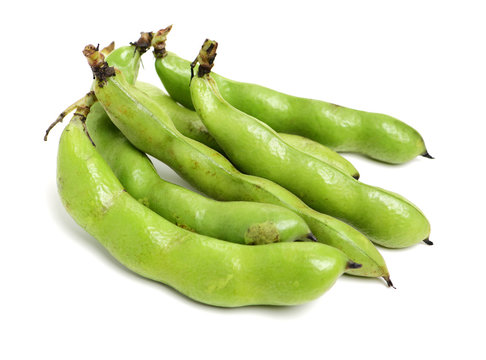 Broad beans on white background