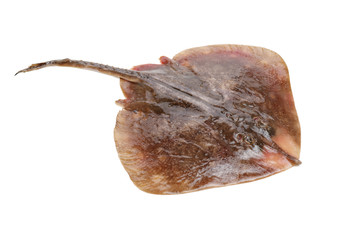 Fresh ray fish isolated on white background