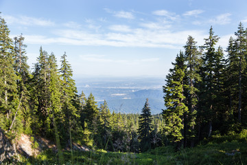 A view of the Fraser Valley as seen from the hiking trails of Mount Seymour.