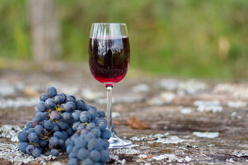 Glass of wine and bunch of grapes on the rustic wooden table in a vineyard