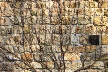 Vintage grunge sandstone blocks wall texture.