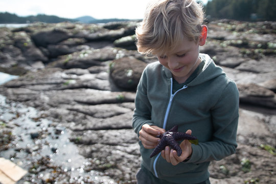 boy holding starfish at the beach