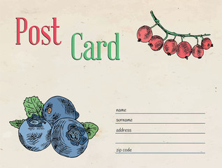 berries garden postcard. Template design of envelope and illustration - 293724646