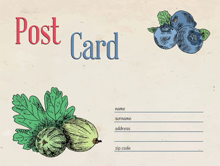 berries garden postcard. Template design of envelope and illustration - 293724693