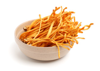 Fresh Cordyceps mushroom on white background