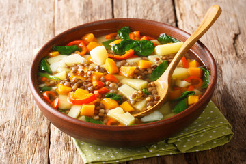 Spicy healthy lentil soup with vegetables and spinach close-up in a bowl. horizontal