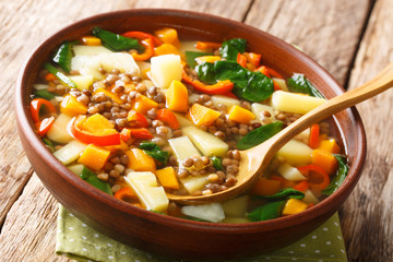 Lentil soup with vegetables and spinach close-up in a bowl. horizontal