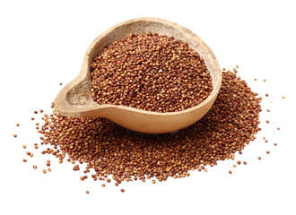 Sorgo seed (Sorghum Moench)