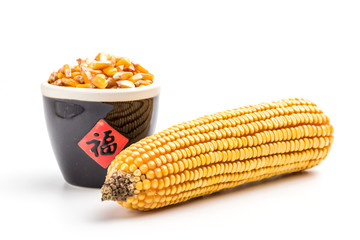 Corn on a white background