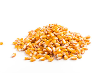 Corn on a white background