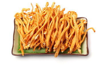 Fresh Cordyceps mushroom on white background