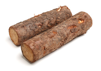 Pine logs on white background