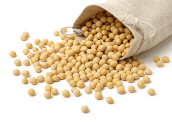 soy beans on white background.