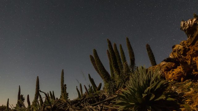 Polaris and Tajinast spin thru the night 