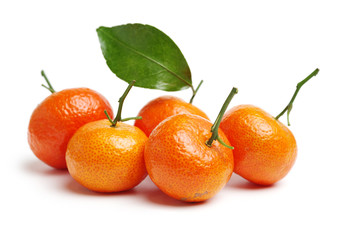 tangerine orange on white background 