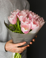 A bouquet of pink fresh tulips in the hands of a man - a gift