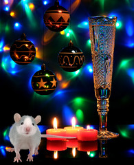 rat - a symbol of 2020 new year on the Chinese calendar and a glass of champagne with candles