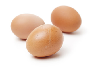 eggs on white background