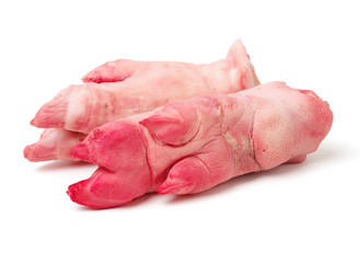 fresh pig trotter on white background 