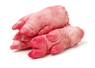 fresh pig trotter on white background 