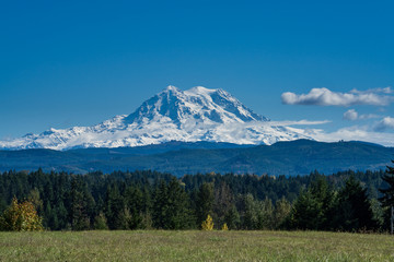 Mount Rainier On A Sunny Day