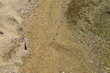 The texture of the sand