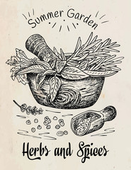 Beautiful hand drawing healthy herbs and spices mortar. Herbs, basil, chervil. - 293734426