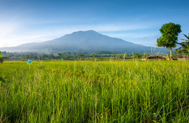 A peaceful view of nature&rsquo;s grandeur, where every detail reveals calm, depth, and endless space