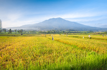 A peaceful view of nature&rsquo;s grandeur, where every detail reveals calm, depth, and endless space