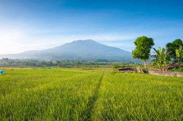 A peaceful view of nature&rsquo;s grandeur, where every detail reveals calm, depth, and endless space